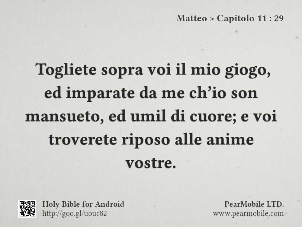 Matteo, Capitolo 11:29